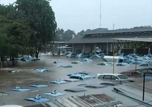 GoRiau Beberapa Pool Taksi Bluebird Jakarta Kebanjiran, Begini Penampakannya..