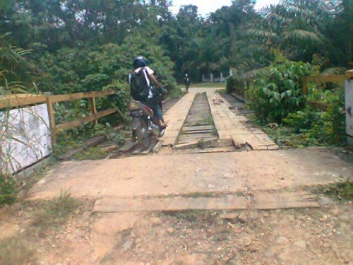 Jembatan Kayu di Desa RTH Semakin Membahayakan Warga