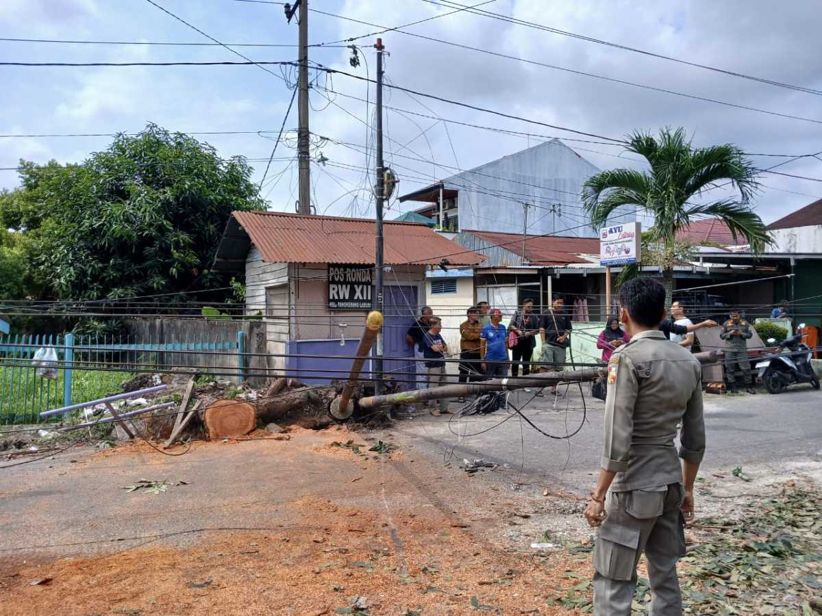 Operator Abai, Pemkot Pekanbaru Ancam Putus Kabel Fiber Optik Ilegal