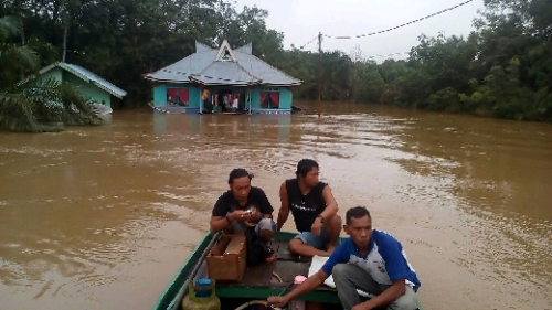Ketinggian Air Capai 3 Meter, Banjir Lubuk Kembang Bunga Ukui Rendam 40 Rumah