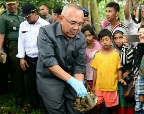 Siang Tadi, Gubernur Riau Melepas Kura-kura di Wisata Taman Alam Rimbo Tujuh Danau Buluh Cina Kampar