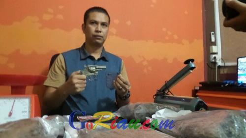 Bekuk 3 Pengedar Ganja Lintas Provinsi, Polisi Pekanbaru Sita Senpi dan Amunisi