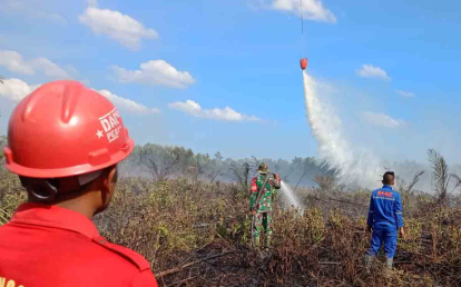 Rencananya, Besok BNPB Kirim Heli Pemantau Karhutla ke Riau
