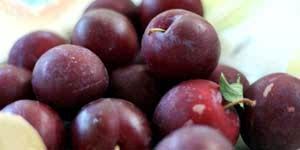 Anda Ingin Cepat Langsing? Konsumsilah Buah Ini Setiap Hari