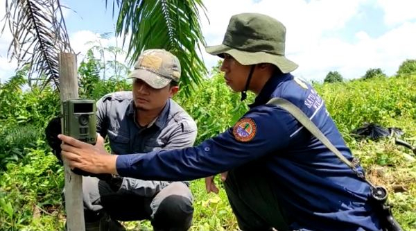 Warga Dumai Tewas Diterkam Harimau, BBKSDA Riau akan Panggil Perusahaan di Sekitar Lokasi Kejadian