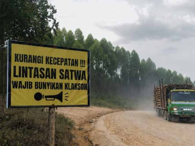 BBKSDA Pastikan Tidak Ada Indikasi Perburuan pada Kasus Tapir di Kuansing