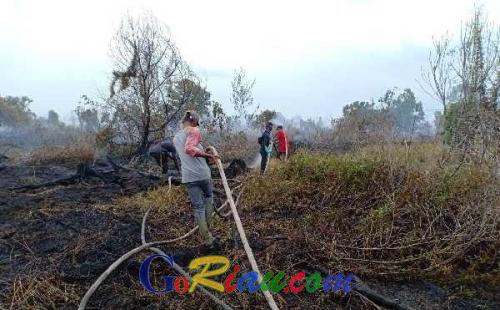 Satgas Karhutla dan Perusahaan Bersinergi Atasi Kebakaran Lahan di Riau
