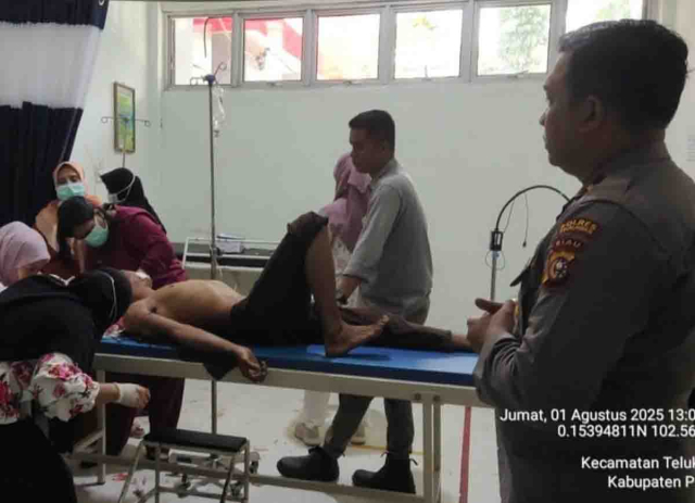 Saat Semprot Gulma, Pekerja Diserang Harimau di Areal Konsesi PT Arara Abadi Pelalawan Riau