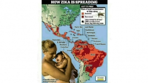 GoRiau WNI yang Terinfeksi Virus Zika di Singapura Bekerja Sebagai PRT