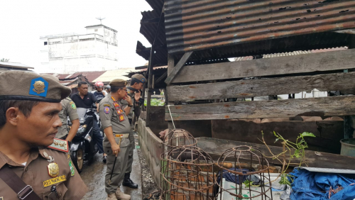 Banyak Pedagang Mengeluh, Kandang Babi di Pasar Sandang Pangan Selatpanjang Segera Direlokasi