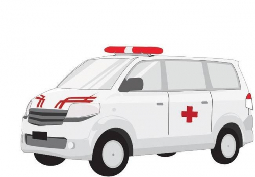 Pekanbaru Butuh Dukungan Pemprov untuk Penambahan Unit Ambulans Pendukung Kinerja Satgas Covid-19