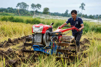 Binaan RAPP, Petani Desa Pulau Muda Pelalawan Sukses Tingkatkan Kualitas Panen Padi