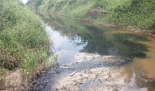 Kepergok Membuang Limbah ke Sungai, DPRD Minta BLH Tindak Tegas PT Gandahera Hendana