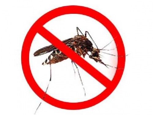 Warga Meranti Diminta Turut Bersama Cegah Perkembangbiakan Nyamuk Aedes Aegypti