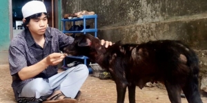 GoRiau Inspiratif, Santri yang Dulu Obati Anjing Liar Terluka dan Pernah Jadi Penyapu Jalan, Kini Sukses Berbisnis Sambil Berdakwah