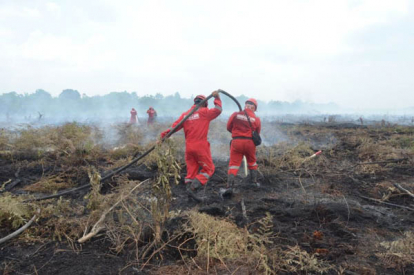 GoRiau Antisipasi Kemarau 2023, DLHK Riau Minta Perusahaan Siaga Karhutla
