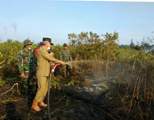 Asap Tebal Masih Mengepul, Wabup Said Hasyim Tinjau Kebakaran Lahan di Tanjung Pranap dan Mengkikip
