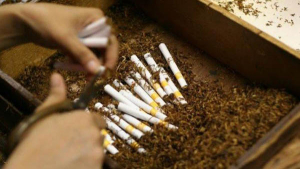APVI Kampanyekan Larangan Produksi Tembakau Bagi Anak