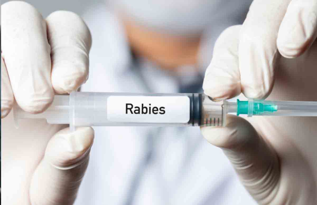 Gratis, Vaksin Anti Rabies Gratis Tersedia di Seluruh Puskesmas di Pekanbaru