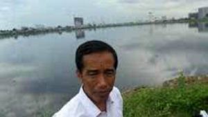 GoRiau Usulan Politisi PDIP Kagetkan Jokowi