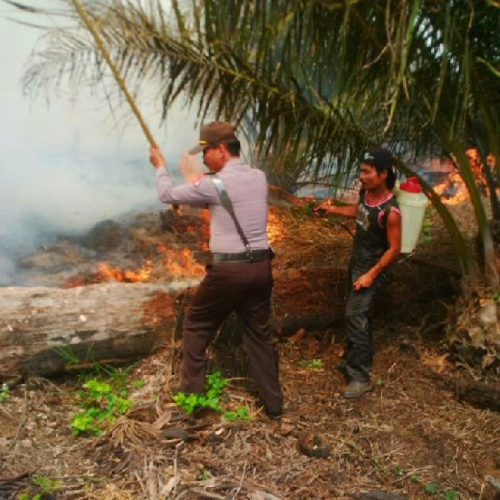 Puluhan Hektar Lahan Terbakar, Asap Pekat Selimuti Inhu