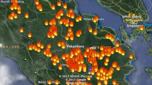 107 Titik Api Terdeteksi di Riau, Terbanyak di Rohil