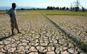 GoRiau El Nino Diprediksi Berakhir Februari 2016