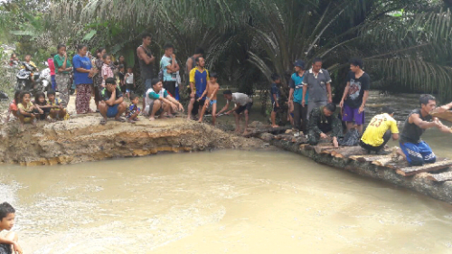 Tiga Jembatan Roboh Akibat Banjir yang Terjadi di Pelalawan