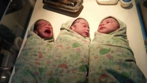 GoRiau Bidan yang Terpental 2 Kali Saat Gempa di Palu Lahirkan 3 Bayi Kembar