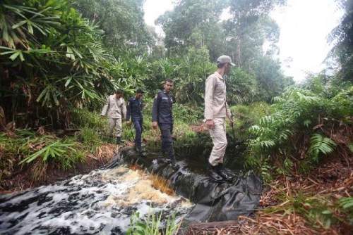 Kisah Manalu, Ranger Penjaga Hutan Konservasi; Rela Pulang ke Rumah Sebulan Sekali dan Panjat Pohon 30 Meter untuk Dapatkan Sinyal Telepon