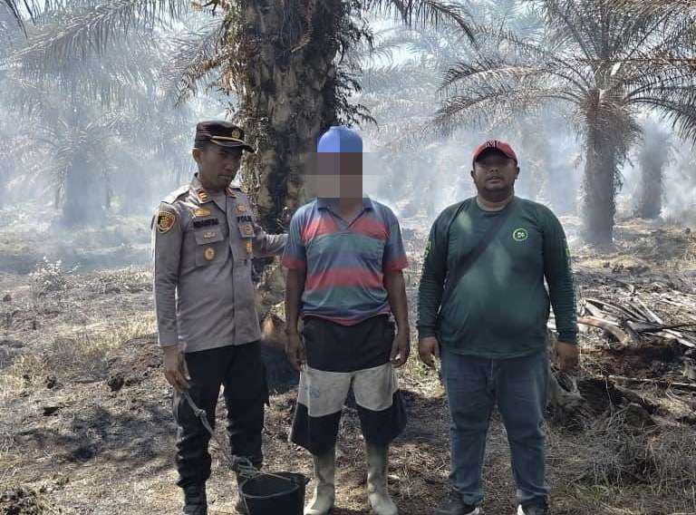 Bakar Lahan, Warga Asal Sumut Ditangkap Polisi di Rokan Hilir