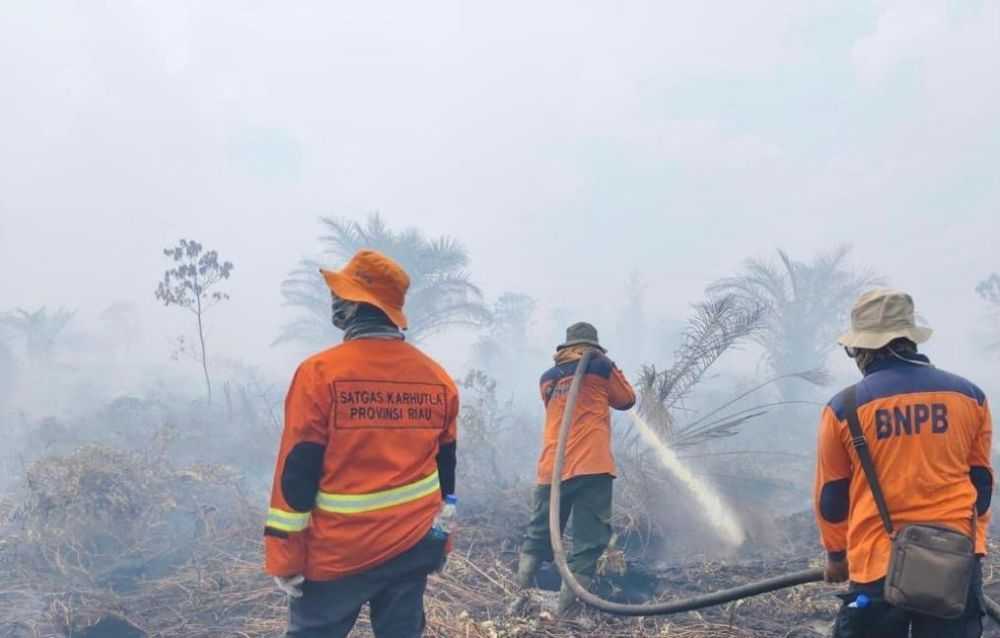 Karhutla Masih Terjadi di Tujuh Daerah Riau, Termasuk di TNTN Inhu