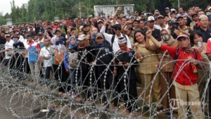 GoRiau Guru Honorer Berusia di Atas 35 Tahun Prioritas Direkrut Jadi Pegawai Pemerintah