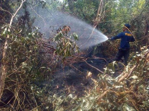 Gara-gara Ulah Oknum tak Bertanggung Jawab, Puluhan Hektar Kebun Masyarakat di Bukitbatu Ludes Terbakar