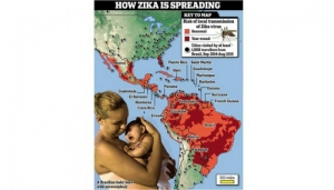 GoRiau Ternyata Virus Zika Sudah Ditemukan di Indonesia Sejak 1977