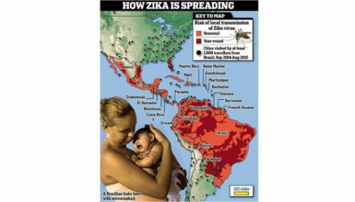 Ternyata Virus Zika Sudah Ditemukan di Indonesia Sejak 1977