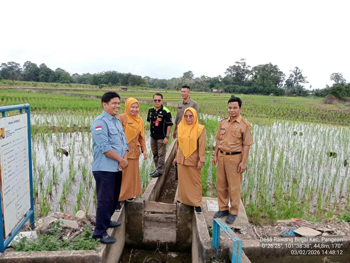 Dukung Ketahanan Pangan Nasional, Pemkab Kuansing Kawal Petani di Pangean