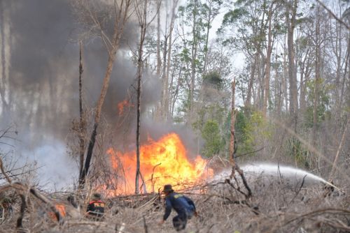 200 Hektar Lahan di Siak Kecil Terbakar, Api Sudah Dekati Pemukiman Warga