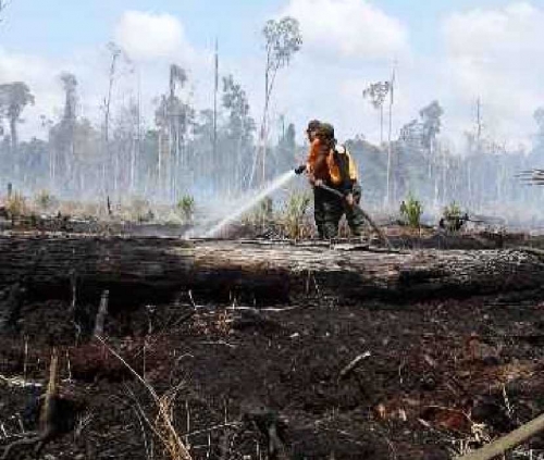 Sempat Kesusahan Air, Manggala Agni Daops Siak Bantu Padamkan Api di Desa Sei Linau