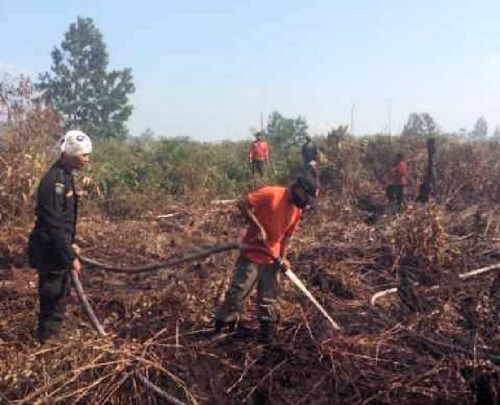 Kawasan GSK Rawan Karlahut, Manggala Agni Daops Siak Kirimkan 2 Regu Pemadam