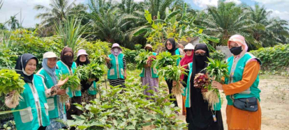 Dari Lahan Mati Jadi Apotek Hidup: Kisah Murni Menjaga Warisan Kesehatan Dunia di Duri