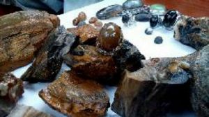 GoRiau Galih Kelor, Batu Akik dari Fosil Kayu Ini Dipercaya Bisa Tangkal Santet