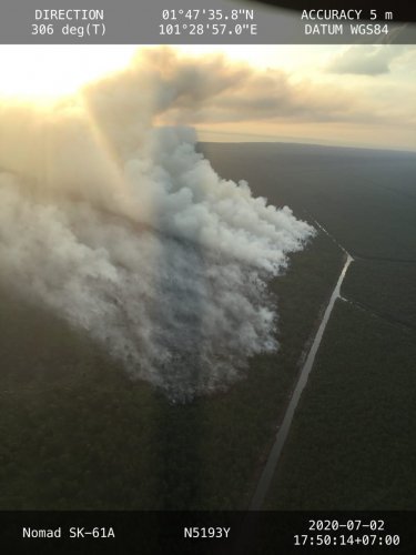 8 Hektare Hutan Produksi Terbatas di Rupat Terbakar