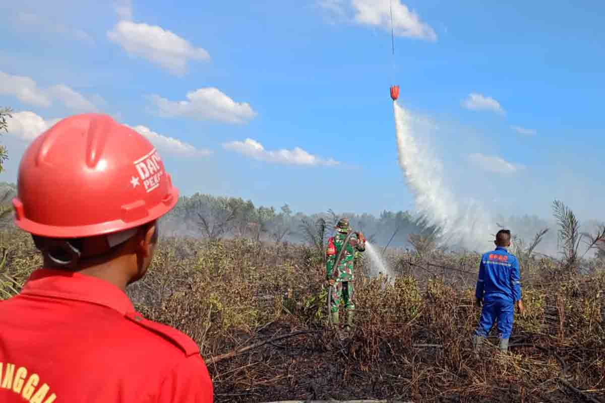 Hampir 1.000 Hektare Lahan Riau Terbakar