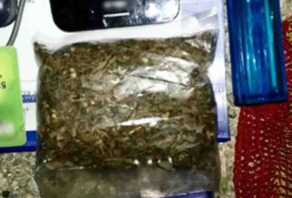 GoRiau X-Ray Bandara SSK II Pekanbaru Gagalkan Penyelundupan Ganja Hampir 1 Kg