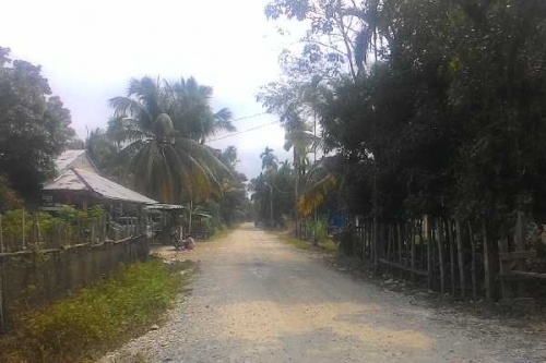 Defisit Anggaran, Jalan Pedesaan Tanjung Kampar Gagal Dibangun