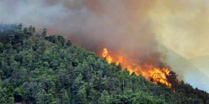 GoRiau Riau Mulai Berasal, Hari Ini 12 Titik Api