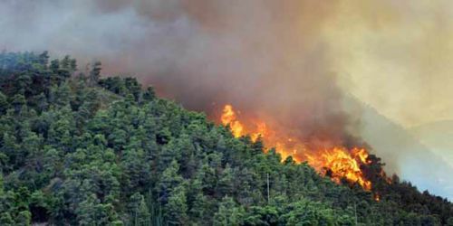Riau Mulai Berasal, Hari Ini 12 Titik Api