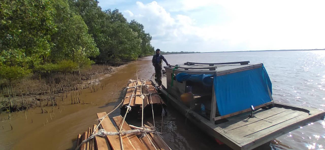 Ditpolairud Polda Riau Gagalkan Penyeludupan Kayu Ilegal di Siak, Dua Tersangka Ditangkap