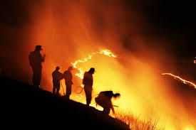Sudah 10.502 Ha Lahan Terbakar di Riau, Berikut Data Lengkapnya